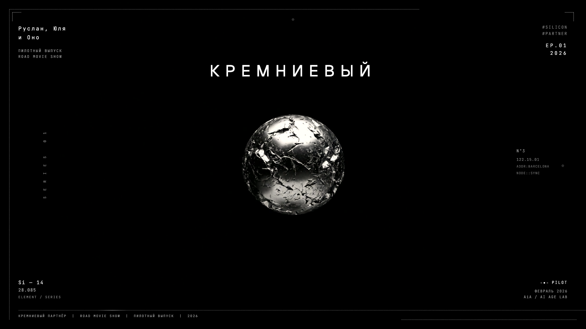 Кремниевый партнёр